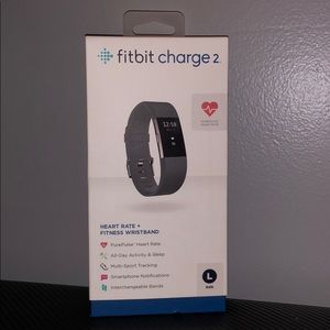 Fitbit Charge 2 : Large Wristband